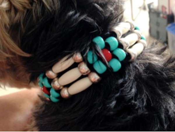 A small black dog wearing a beaded dog collar.
