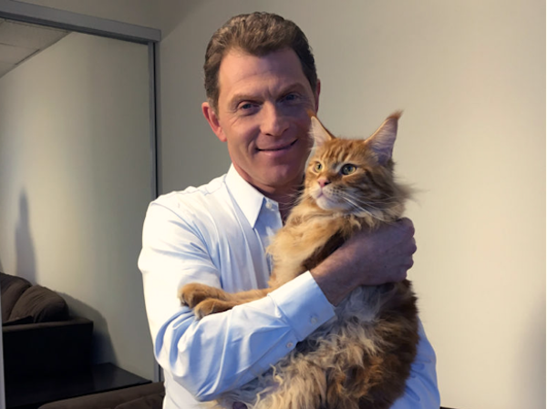 A man with ginger hair holding a red haired cat.