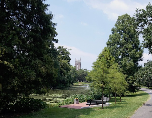 An Idyllic View of trees and a building in Audubon Park