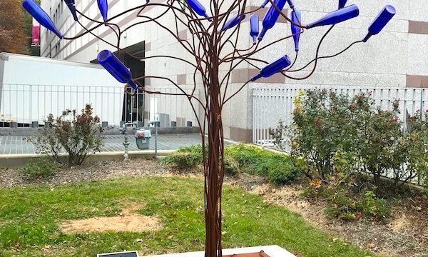 Fabulous Tree Sculpture with cobalt blue wine bottles for leaves at the Museum of Natural Sciences