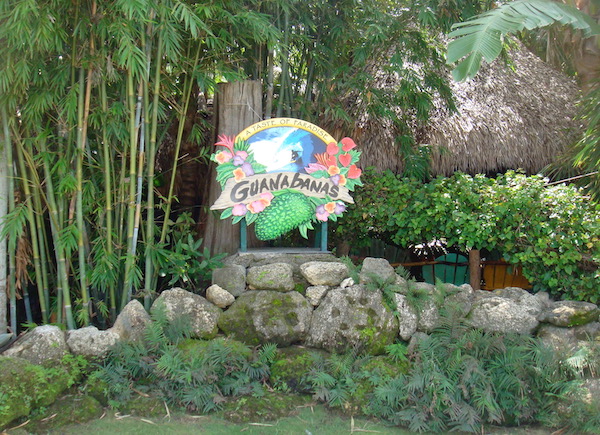 A sign with tropical flowers and Guanabanas on it in the middle of lots of tropical foliage.