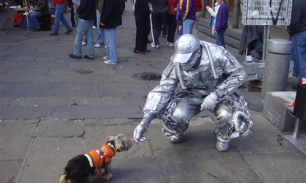 Man dressed as robot in silver head to toe kneeling to play with Yorkie in orange sweater