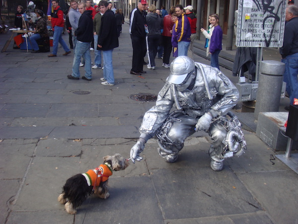 Man dressed as robot in silver head to toe kneeling to play with Yorkie in orange sweater