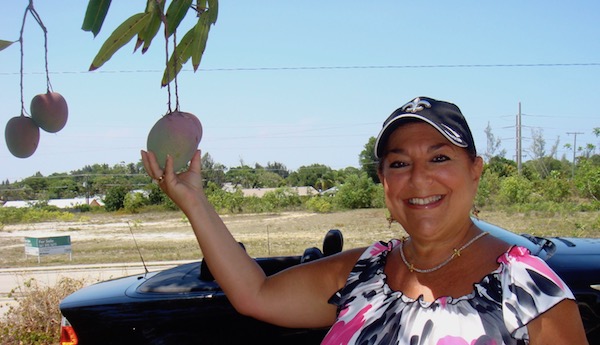 A woman in a black baseball cap picking a ripe mango from a tree