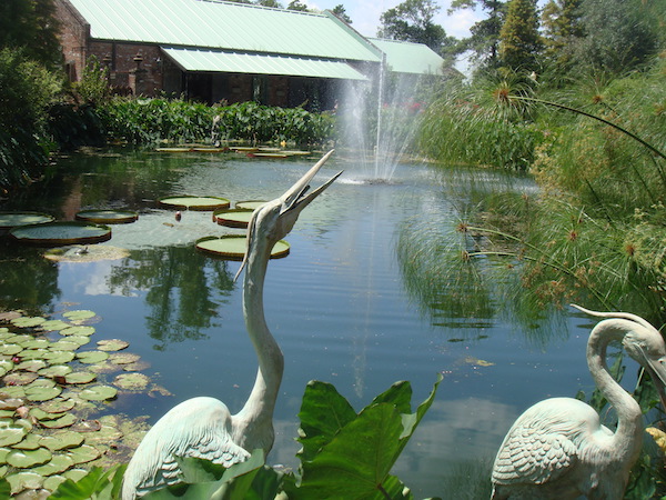 Pond Complete with Ibis Sculptures and Lily Pads