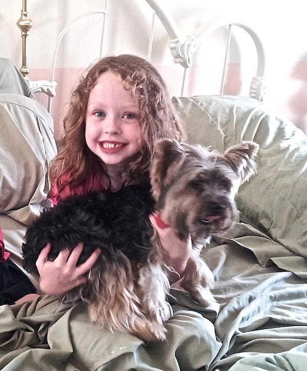 A smiling little girl with long blond curls holding a black and gold Yorkie while sitting on an unmade bed.