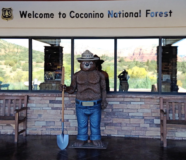 A building with a bear dressed as a ranger sculpture in front.