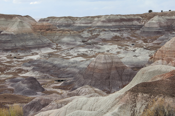 A photo of the Painted Desert