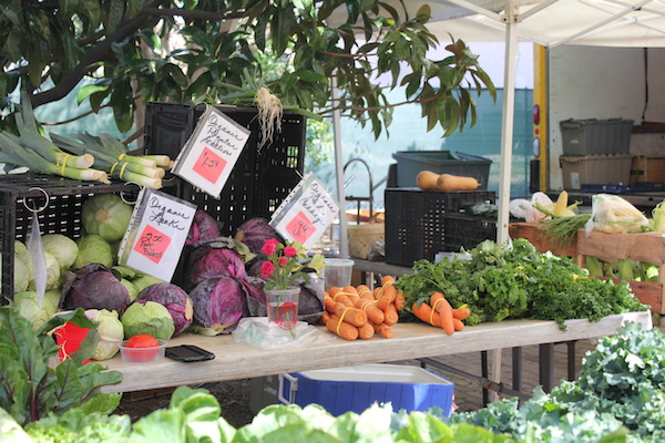 A produce stand with a huge variety of different vegetables