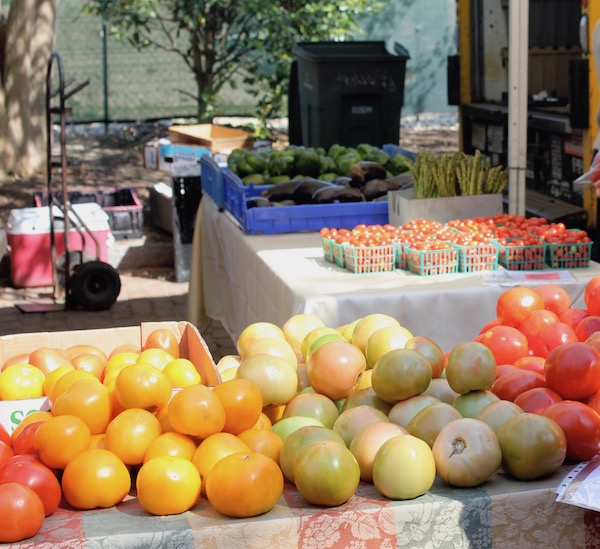 Many different colors of tomatoes displayed at a Farmers' Market