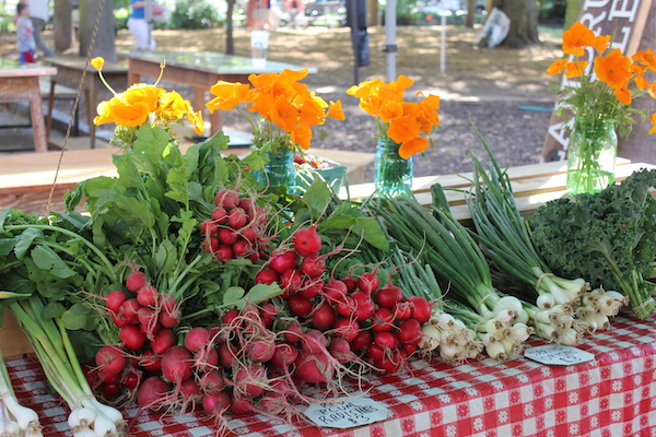 Radishes, spring onions and orange poppies on a red and white checked cloth