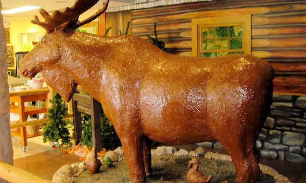 A life sized moose made of chocolate