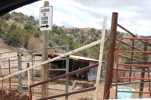 A very rustic entrance to an art gallery with mountains in the background