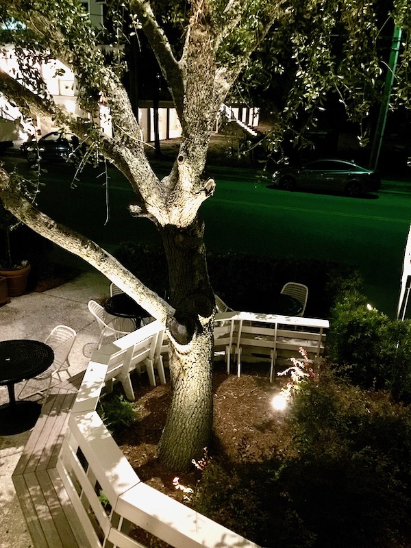 Looking down at a lawn and bare trees at night