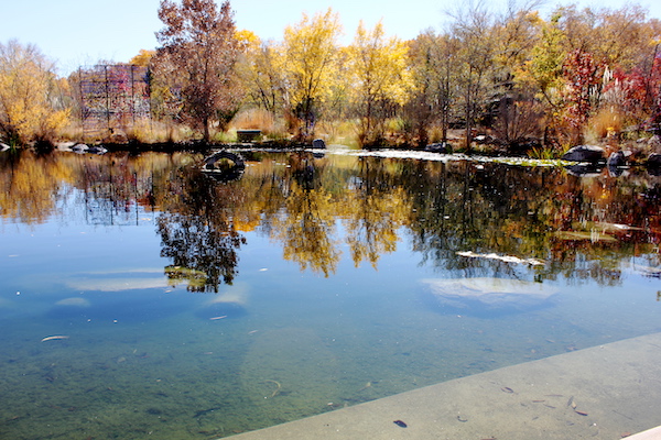 A lake surrounded by fall foliage