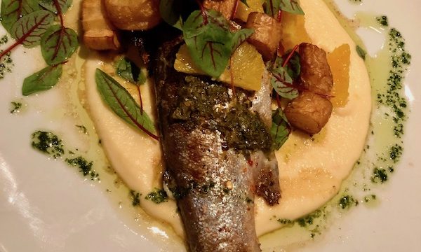A large white plate topped with whole trout, vegetable puree, charred citrus and fried parsnips at Chef and the Farmer.