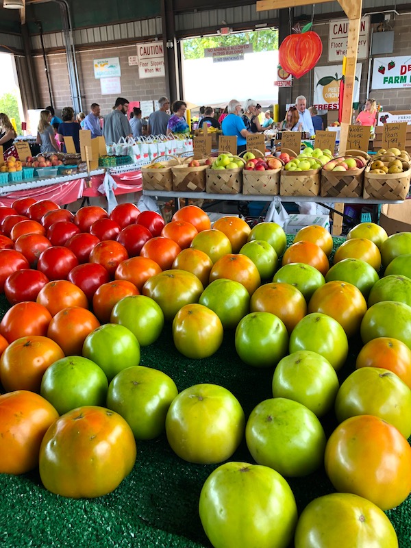 Rows of tomatoes in varying stages of ripeness at the Raleigh Farmers Market
