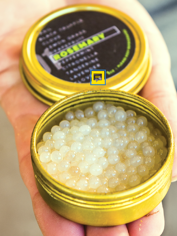 A yellow tin of tiny white Escargot Caviar