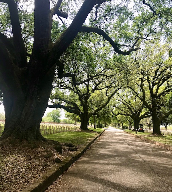 A cemetery that we went to after Lunch at Cochon Butcher in New Orleans