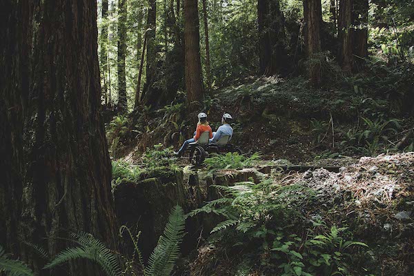 Two people peddling bikes through a forest in Spring in Mendocino, California