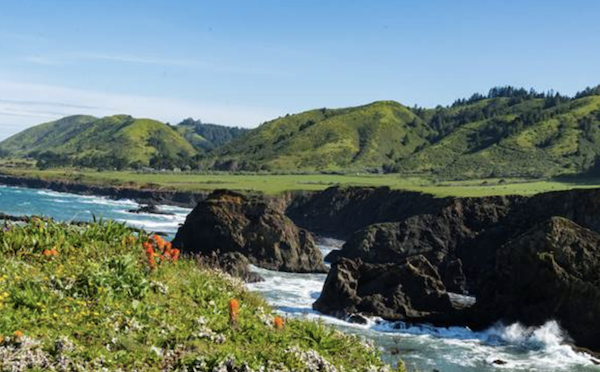 Water rushing around rocks with beautiful landscape from Spring in Mendocino, California