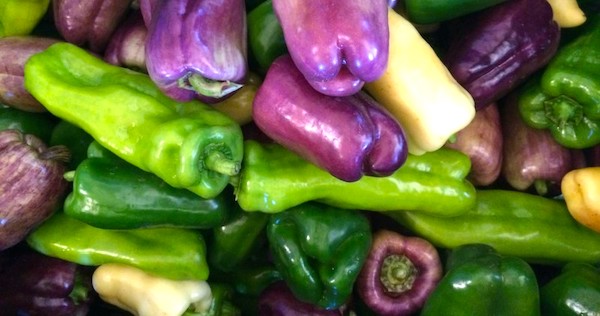 An assortment of peppers in green, white and purple for the Inn at Hastings Park Wine Dinners