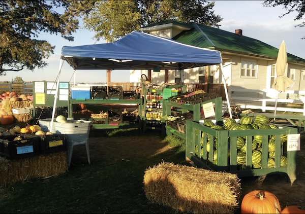 Melons of all sorts under a blue canopy from Savor The Flavors Of Fall In Colorado