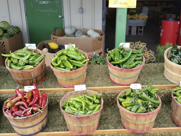 Savor The Flavors Of Fall In Colorado with baskets of assorted chiles.