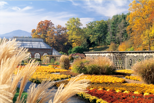 The Biltmore Hosts Downton Abbey Exhibit showing the greenhouse and gardens in Autumn