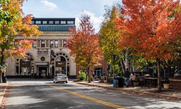 A building and tree lined street from Fall Adventures In Asheville, NC