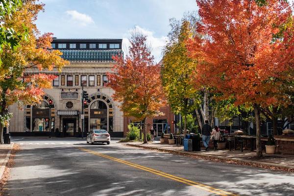A building and tree lined street from Fall Adventures In Asheville, NC