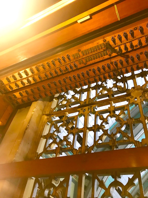 A gilt screen with parts of the World's Largest Pipe Organ