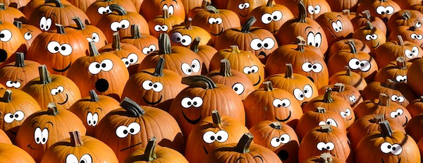 A sea of pumpkins with cartoon eyes from Happy Thanksgiving 2019