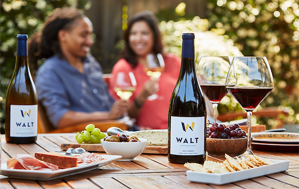 A couple holding wine glasses behind a table filled with food and a bottle of wine from Walt Wines New Tasting Room