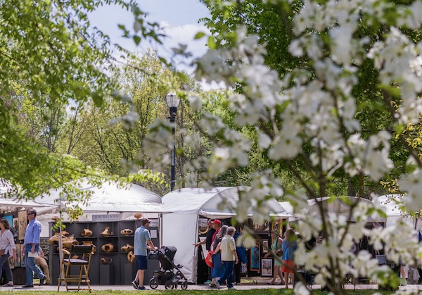 White tents and flowering dogwood trees from 84th Annual Atlanta Dogwood Festival