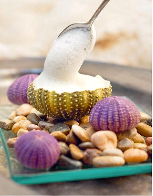 A white foamy substance being served in sea urchin shells from Barcelona Cult Recipes