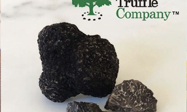 A large dark truffle with 2 slices and the logo for American Truffle Company from post First Burgundy Truffle Harvest in America