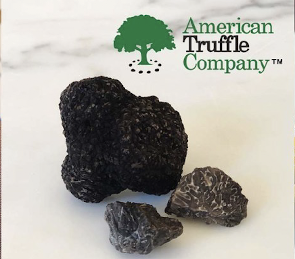 A large dark truffle with 2 slices and the logo for American Truffle Company from post First Burgundy Truffle Harvest in America
