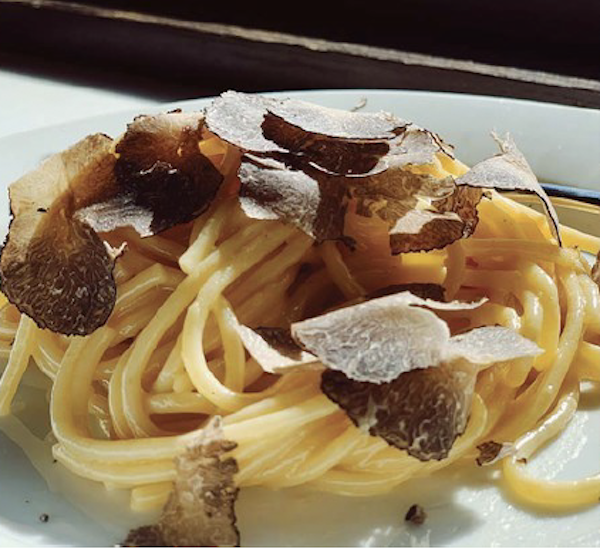 A bowl of spaghetti with shaved black truffles and Parmesan from First Burgundy Truffle Harvest in America
