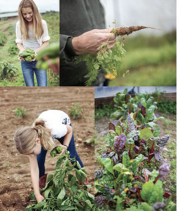 A collage of farming pictures from My Pinewood Kitchen