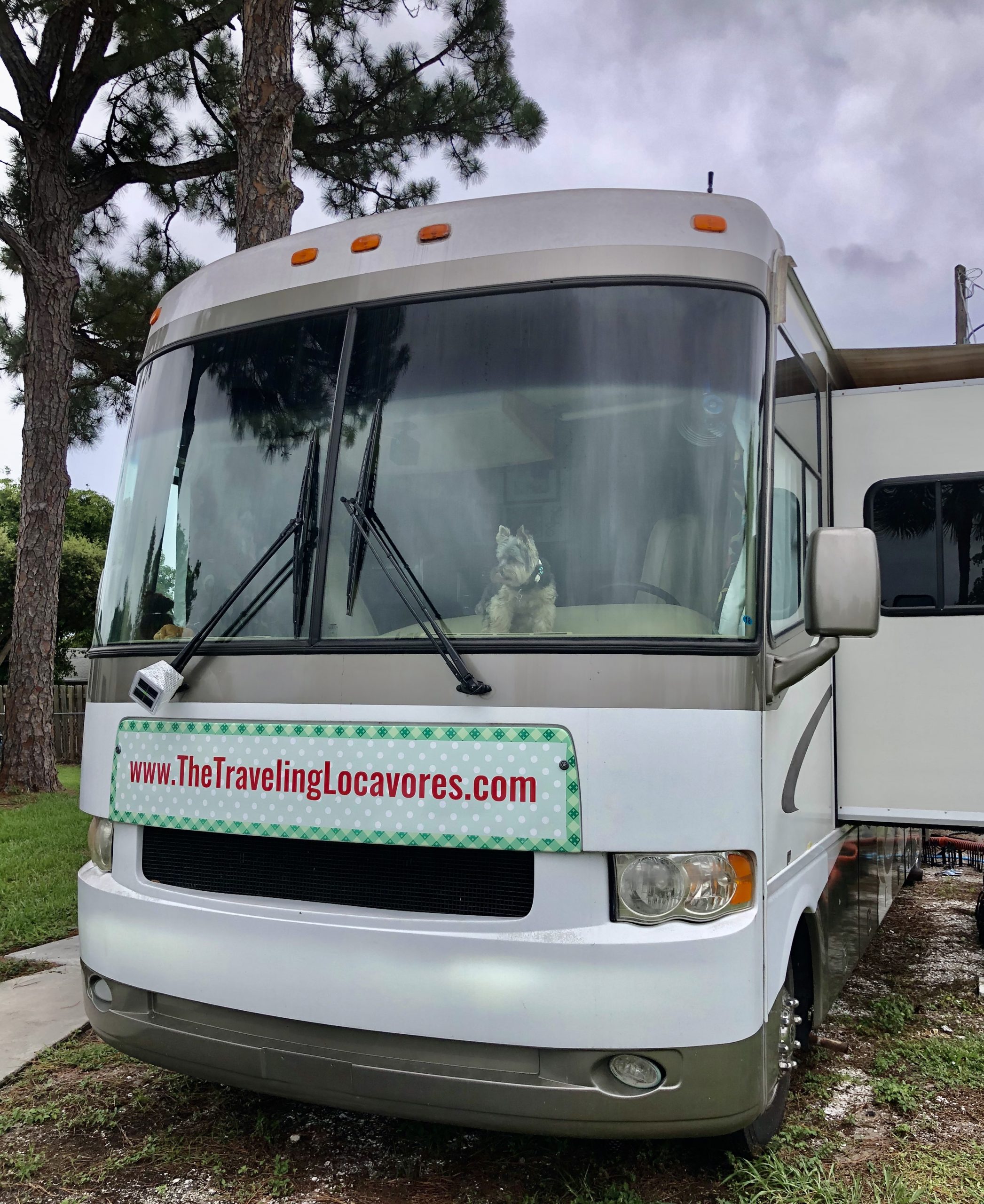 The front of a white RV with a Yorkie watching our the window from We’re Full Timers!