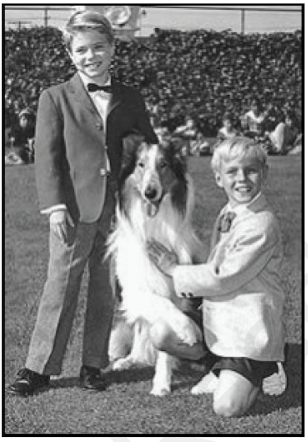 A black and white photo of two young boys and a collie from TV Dinners