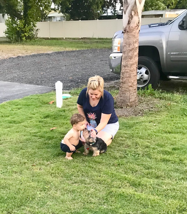 A toddler getting kisses from a black and gold Yorkie at Barefoot RV Resort North Myrtle Beach