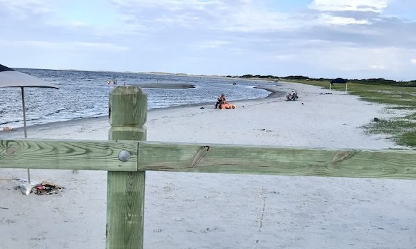 A stretch of sand and water at Cedar Island Resort in NC