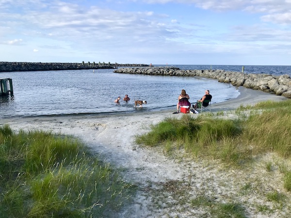Beach and water with a family and their dog by Cedar Island Resort in NC