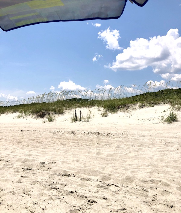 Sand dunes and grasses from RVing With Family