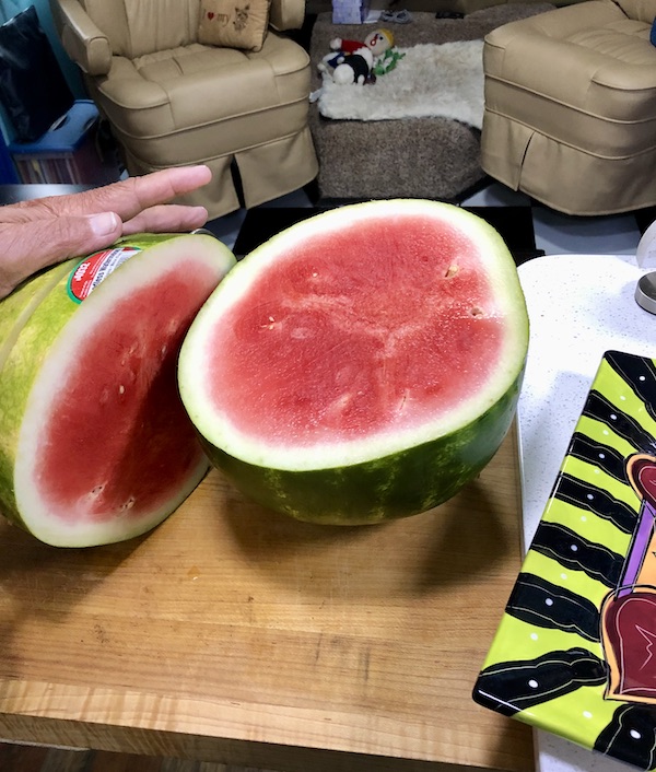 A small seedless watermelon cut in half sitting on a cutting board at North River Campground NC