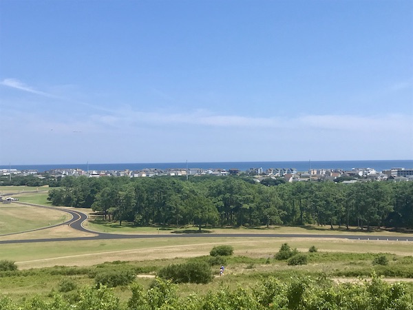 A view of trees, homes and ocean in OBX Outer Banks North Carolina