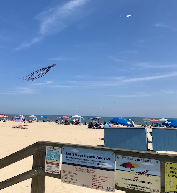 Maryland and Virginia Beaches black octopus kite, beach and ocean.