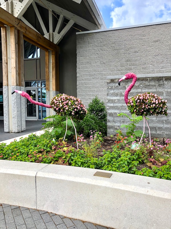 Flamingo topiaries at a building entry at the Norfolk Botanical Gardens 